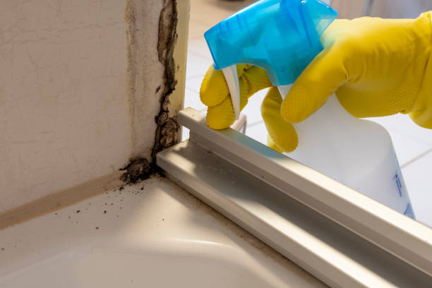 Best Office Mold Removal Services  in Leisure Village, NJ