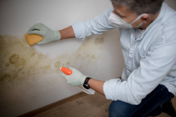 Best Water Damage Restoration  in Leisure Village, NJ
